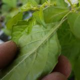 20170507_163514(0)