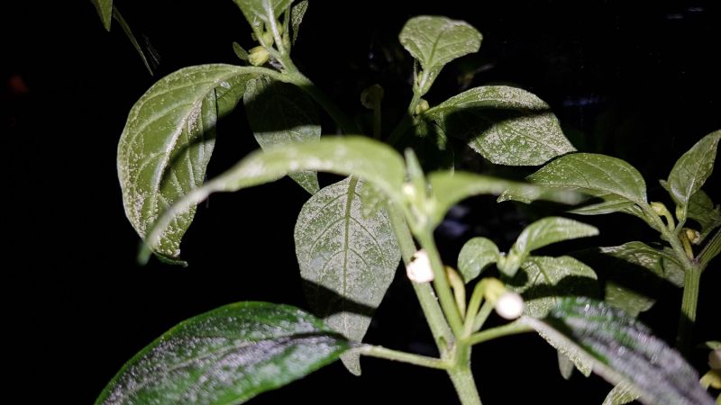 download_20170508_210641