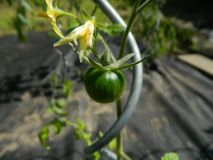 DSCN6016
