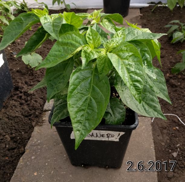2017-06-02-07-47-56