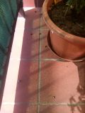 IMG_20170602_150917