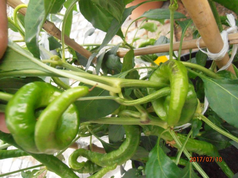 P7100328