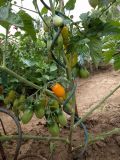 IMG_20170718_181145
