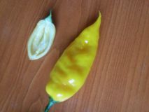 Naganero Tripple a Bhut Jolokia White