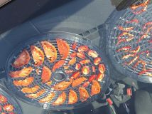 IMG_20170729_162644