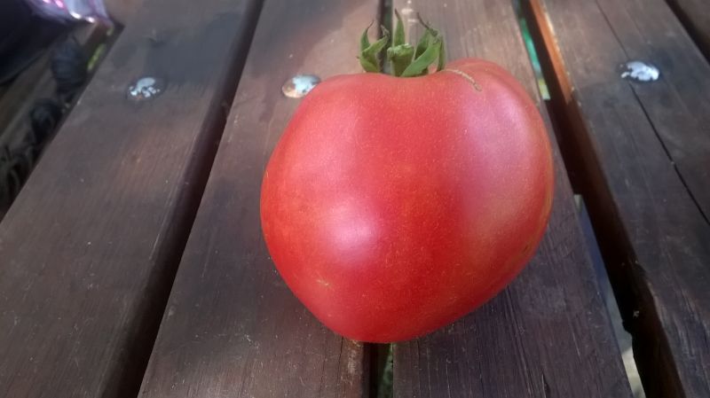WP_20170802_001