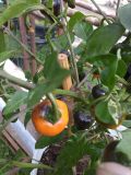 IMG_20170809_130018