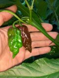 IMG_20170806_102155