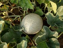 IMG_20170813_182430