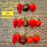 IMG_20170810_164943-01