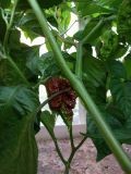 IMG_20170821_190608