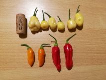 IMG_20170828_000101