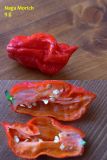 11)Naga Morich