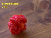 13)ScorpionSatan (s-ch)