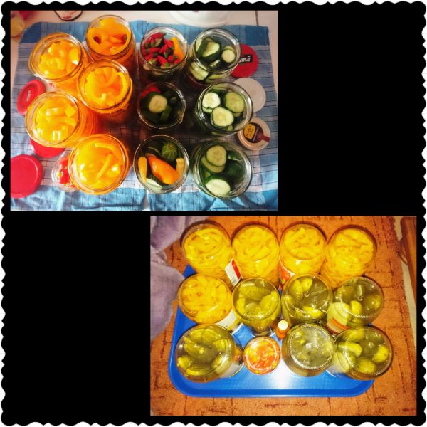 PhotoGrid_1504286899538