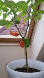 20170915_170248