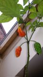 20170915_170314