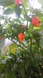 20170923_104841