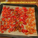 IMG_20170924_162829-01