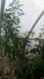 20171001_151510