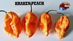 kraken peach