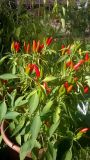 WP_20171015_004