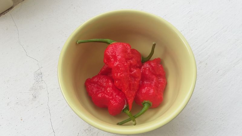 Carolina Reaper
