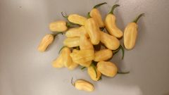 IMG_20171023_210529