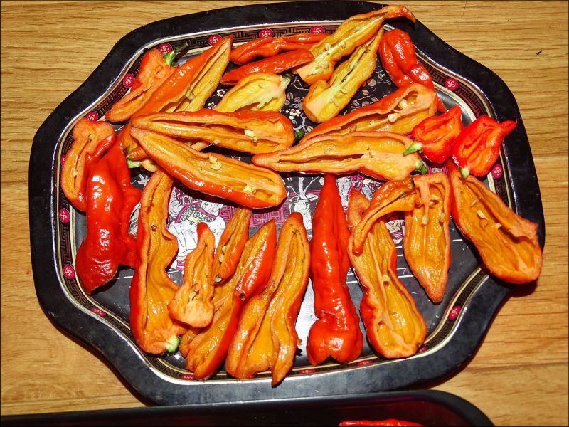 DSC03604