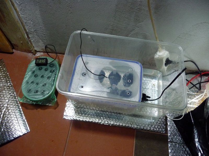 propagator_1