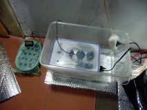 propagator_1