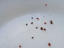 IMG_20180121_144201