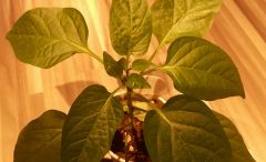 IMG_20180320_181958