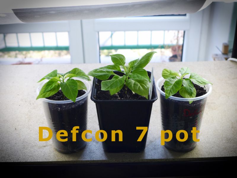 3) Defcon7p