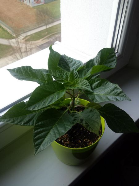 20180410_082508