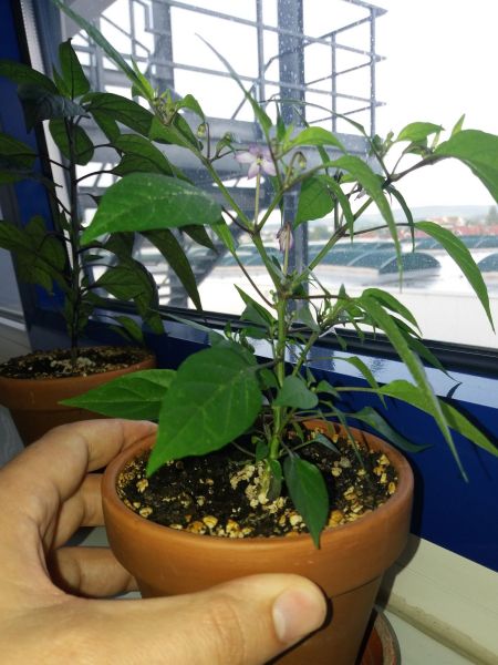20180423_074734
