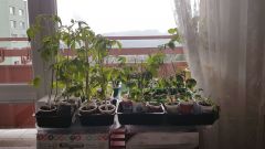 20180426_213544