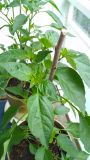 IMG_20180511_113935