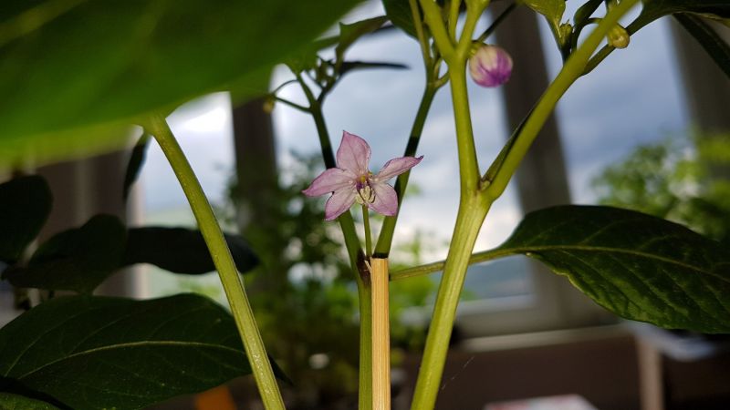 20180511_150426