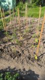 IMG_20180520_171008