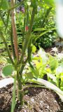 IMG_20180524_105146