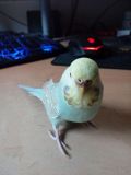 IMG_20180528_193039
