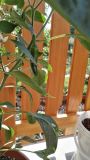 IMG_20180601_090416