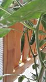 IMG_20180601_090406