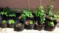 IMG_20180602_132654