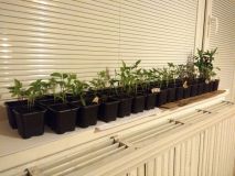 IMG_20180402_214402