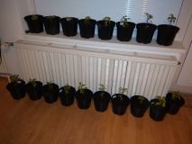 IMG_20180502_221651