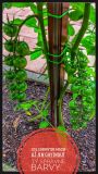 IMG_20180612_190328_HDR-01