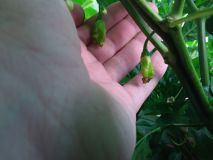 20180618_185116