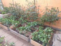 IMG_20180618_193752